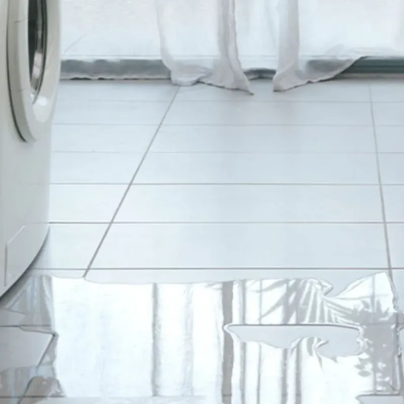 Appliance Leak Cleanup in Philomath, OR