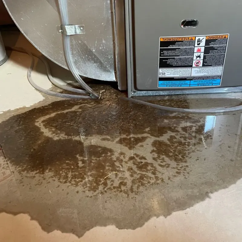 Pipe Burst and Leak Restoration in Philomath, OR